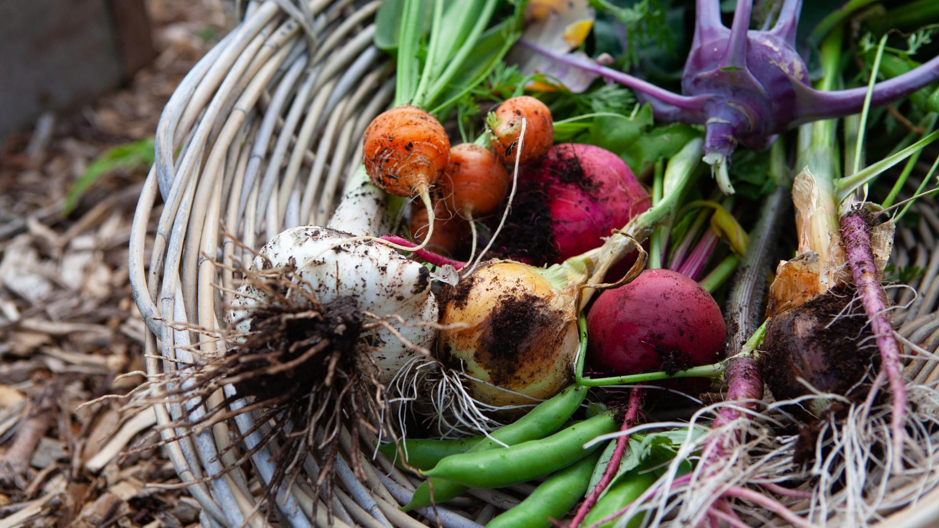 veg